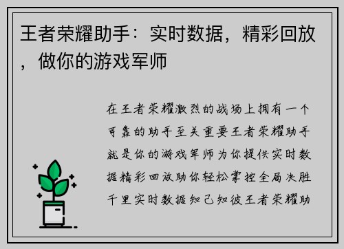 王者荣耀助手：实时数据，精彩回放，做你的游戏军师