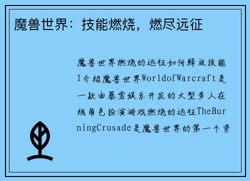 魔兽世界：技能燃烧，燃尽远征