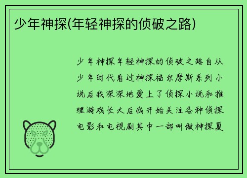 少年神探(年轻神探的侦破之路)